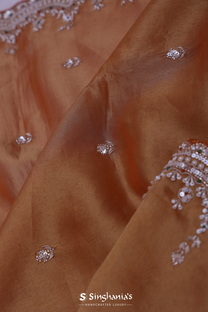 Jewel Orange Tissue Saree With Sequin Work