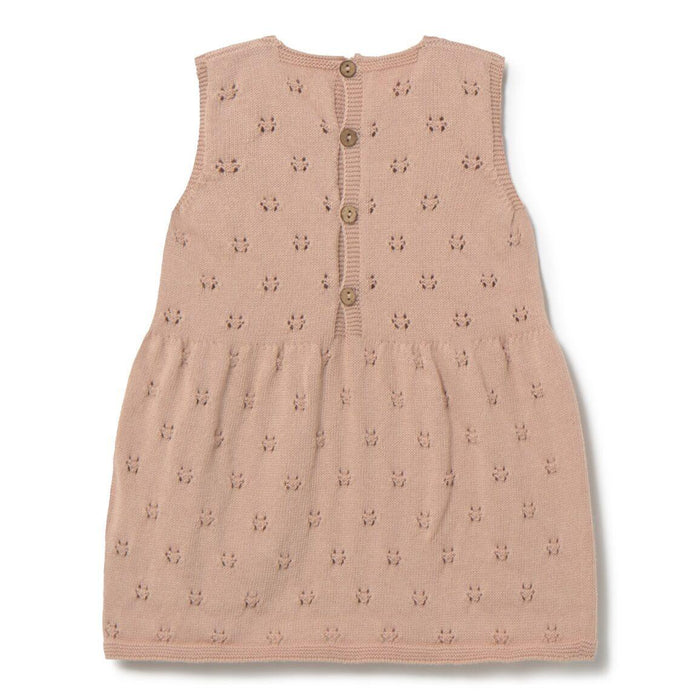Li & Me - Knit Pointelle Dress - Blushed-Dresses-Newborn (1M)-Posh Baby