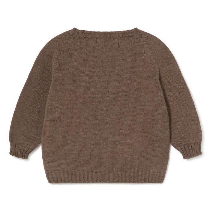 A brown knit sweater with long raglan sleeves and ribbed cuffs, hem, and neckline, shown from the back on a white background.