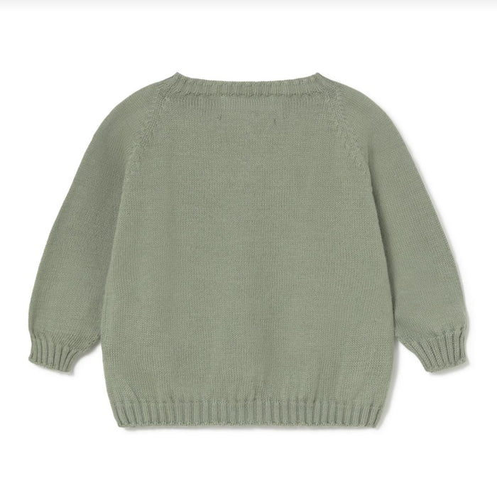 A sage green knit sweater with long sleeves, ribbed collar, cuffs, and hem, shown from the back on a white background.