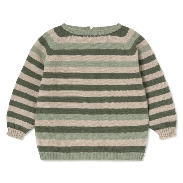 A long-sleeve knit sweater with horizontal stripes in sage green and light beige, shown from the back on a white background.