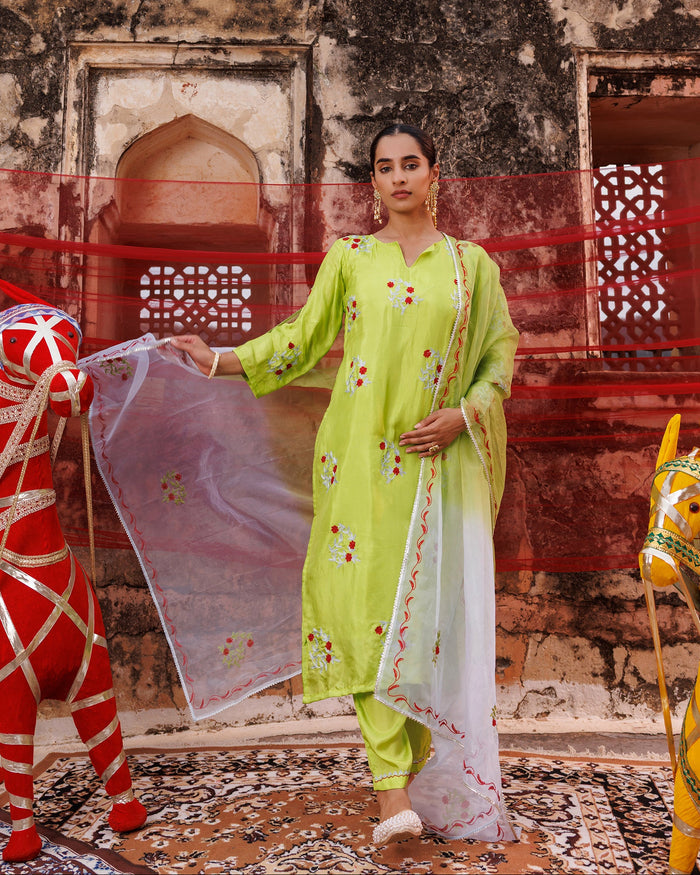 Lime Green Cotton Set With Red Floral Embroidery