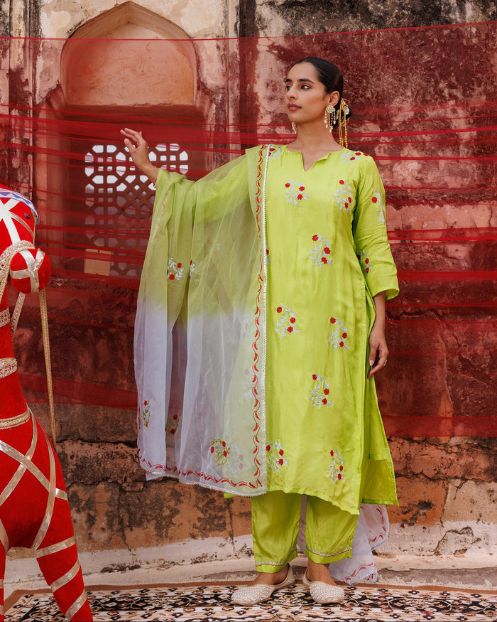 Lime Green Cotton Set With Red Floral Embroidery