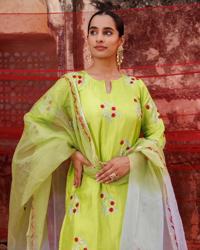 Lime Green Cotton Set With Red Floral Embroidery