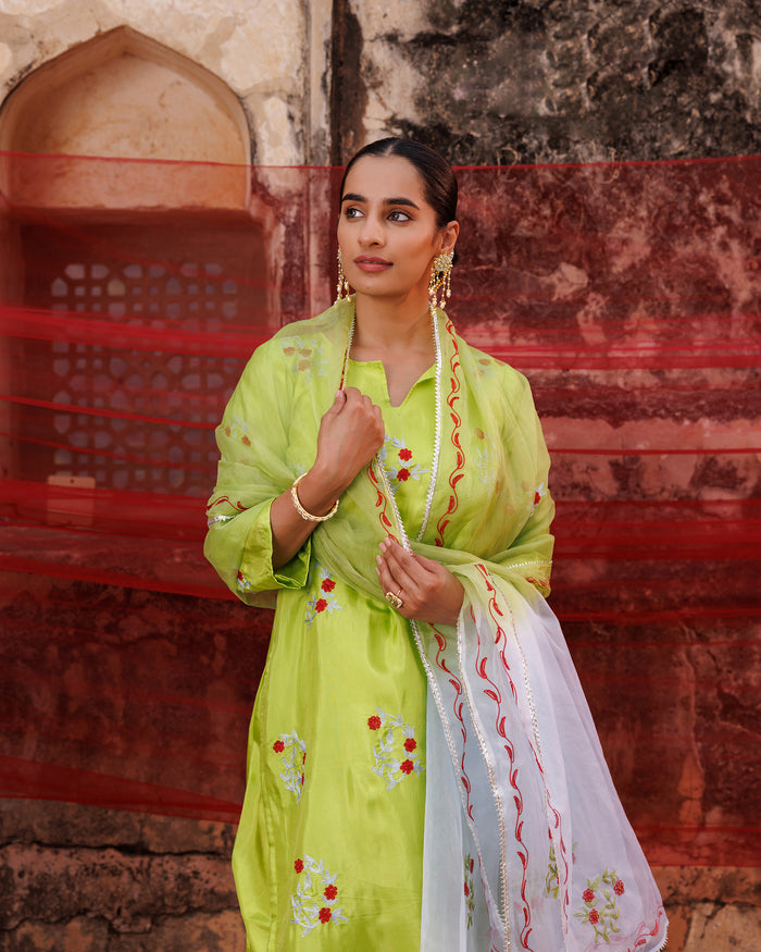 Lime Green Cotton Set With Red Floral Embroidery
