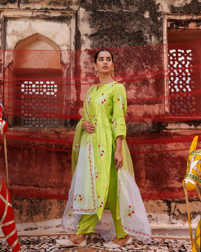 Lime Green Cotton Set With Red Floral Embroidery