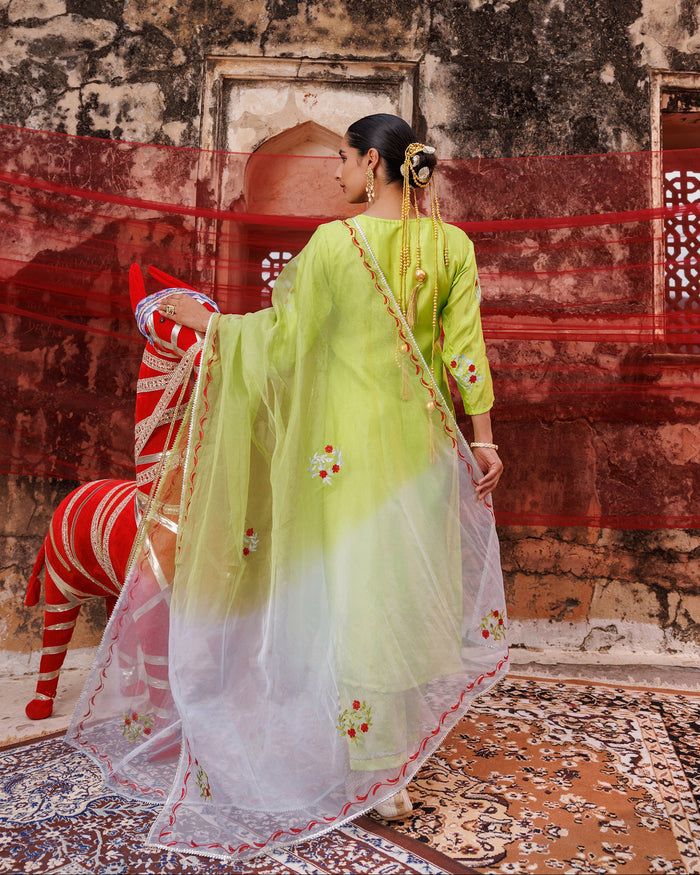 Lime Green Cotton Set With Red Floral Embroidery