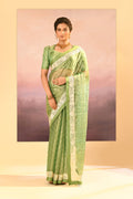 Lime Green Tissue Embroidered Saree