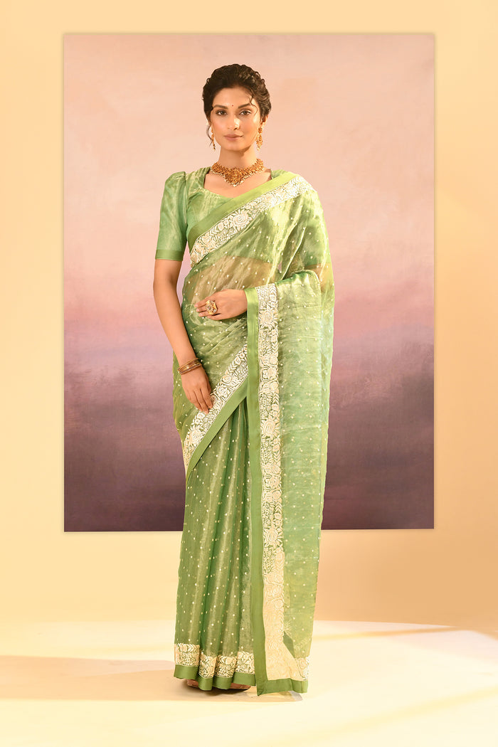 Lime Green Tissue Embroidered Saree