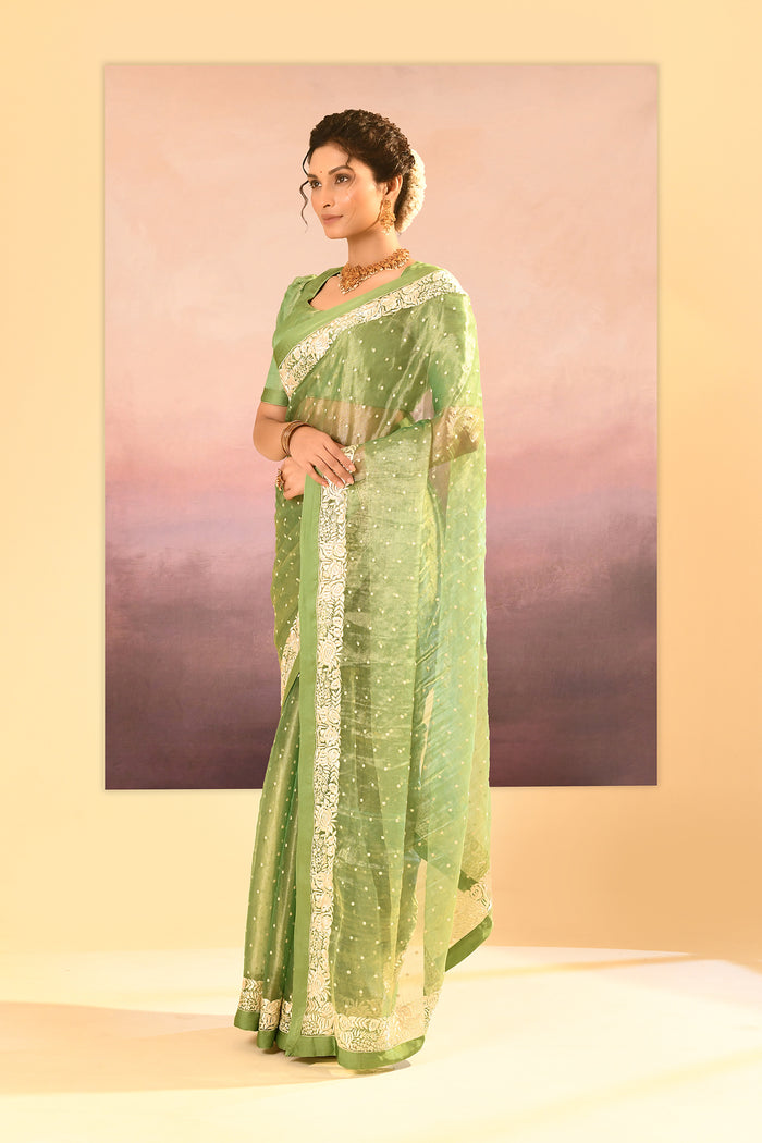 Lime Green Tissue Embroidered Saree