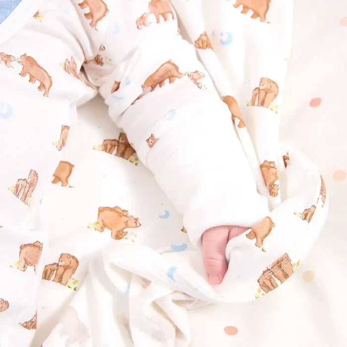 Baby swaddled in a blanket with bear pattern
