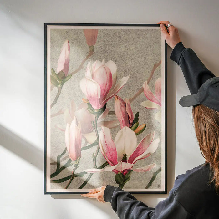 Magnolia by l Prang Flower Print being hung on a wall in a black frame