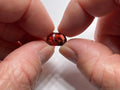 Malaya Garnet – Umba Valley, Tanzania