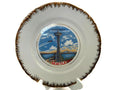 Midcentury Seattle Washington Souvenir Plate at Duckwells