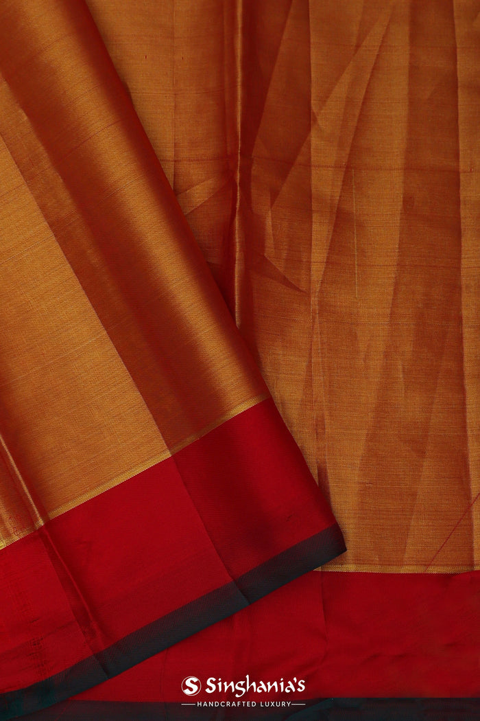 Mint Green Kanjivaram Tissue Saree With Motifs