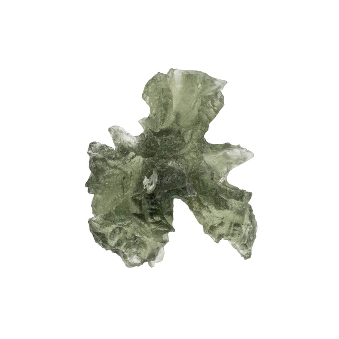 Moldavite Besednice Jezkovna AA 1.25 g 19x14x10mm - InnerVision Crystals