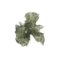 Moldavite Besednice Jezkovna AA 1.25 g 19x14x10mm - InnerVision Crystals