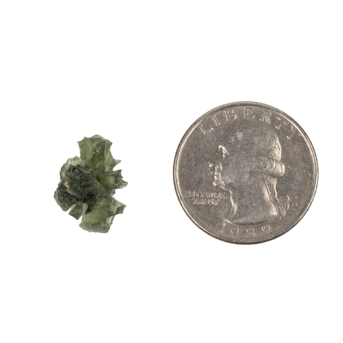 Moldavite Besednice Jezkovna AA 1.41 g 16x12x11mm - InnerVision Crystals