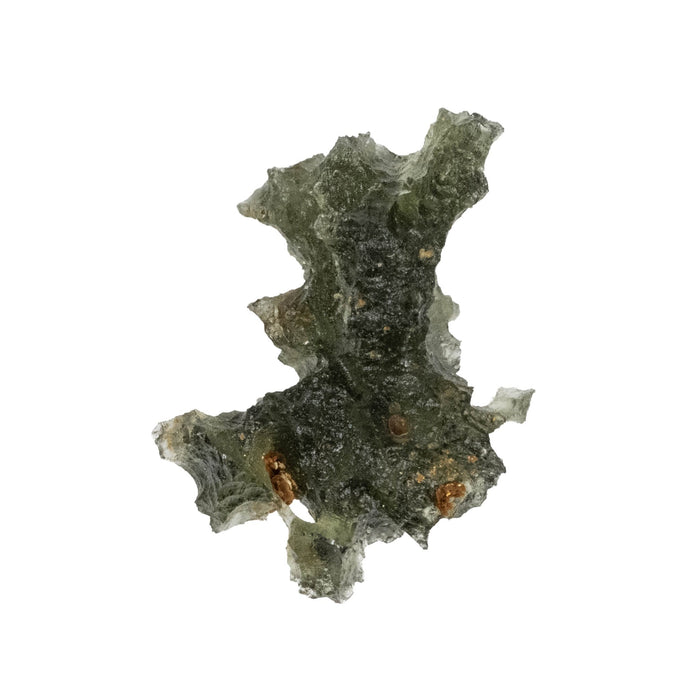 Moldavite Besednice Jezkovna AA 1.69 g 20x14x11mm - InnerVision Crystals