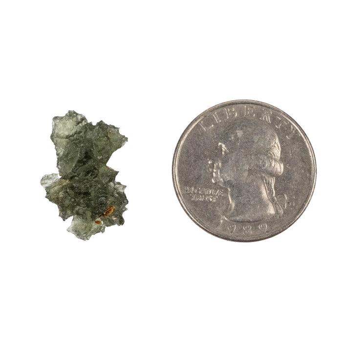 Moldavite Besednice Jezkovna AA 1.69 g 20x14x11mm - InnerVision Crystals