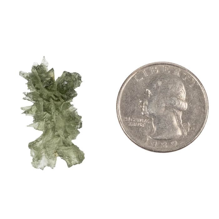 Moldavite Besednice Jezkovna AA 2.33 g 29x15x12mm - InnerVision Crystals