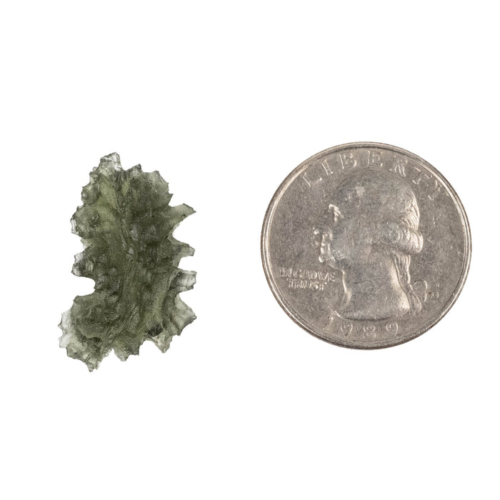 Moldavite Besednice Jezkovna AA 2.40 g 23x15x8mm - InnerVision Crystals