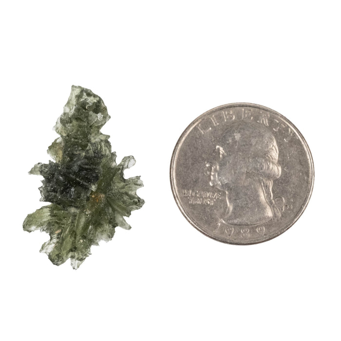 Moldavite Besednice Jezkovna AA 3.01 g 30x18x13mm - InnerVision Crystals