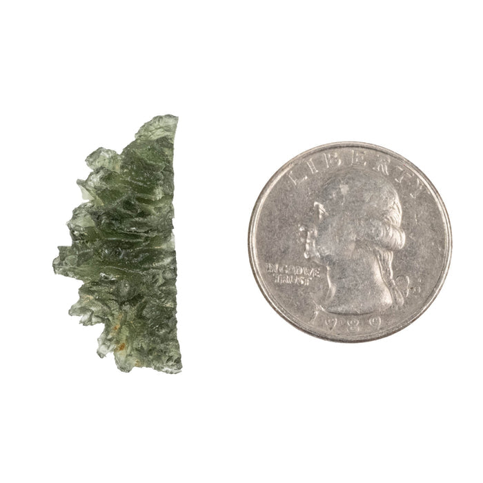Moldavite Besednice Jezkovna AA 3.75 g 29x14x12mm - InnerVision Crystals