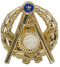 Moonstone Lapel Pin