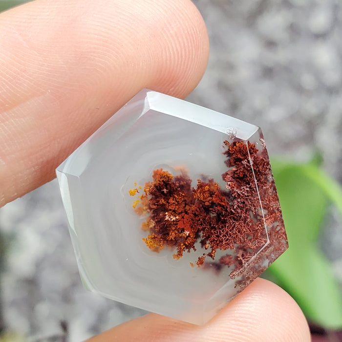 Moss Agate Hexagonal Cabochons