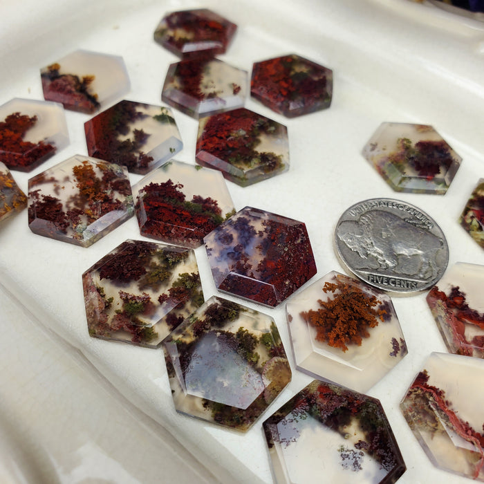 Moss Agate Hexagonal Cabochons