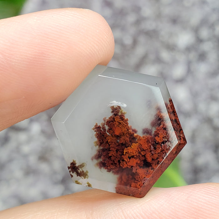 Moss Agate Hexagonal Cabochons