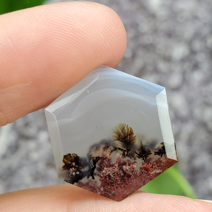 Moss Agate Hexagonal Cabochons