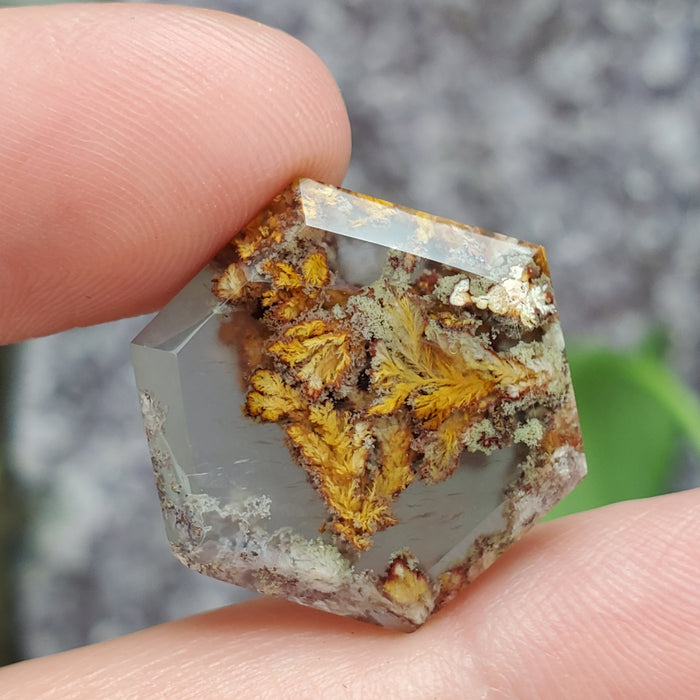 Moss Agate Hexagonal Cabochons