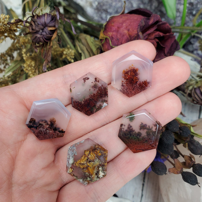 Moss Agate Hexagonal Cabochons