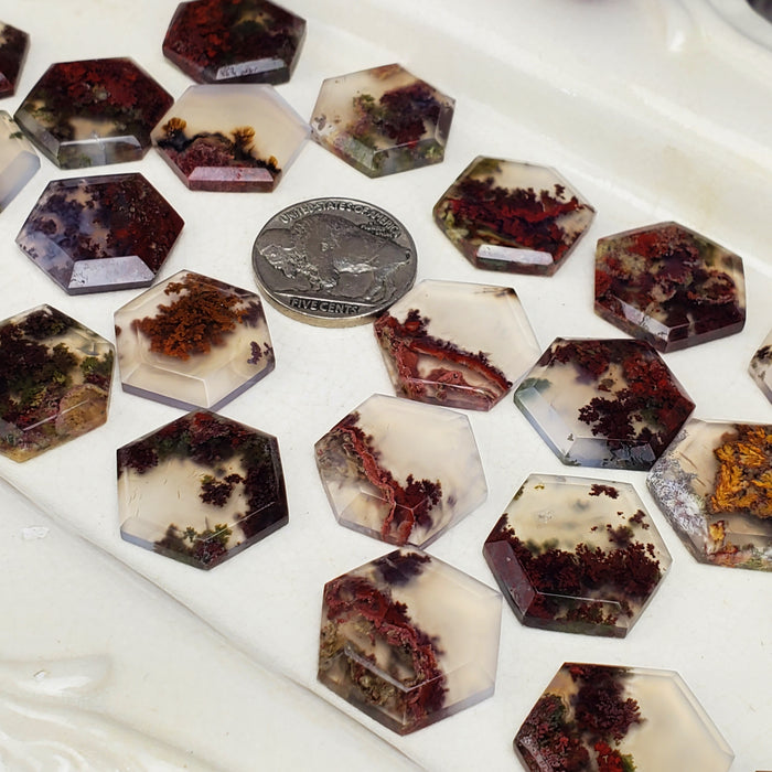 Moss Agate Hexagonal Cabochons