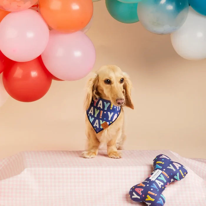 Navy Birthday Yay Bandana - Madison's Niche