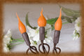 Orange Old World Flame Pop Ons On String Of Lights