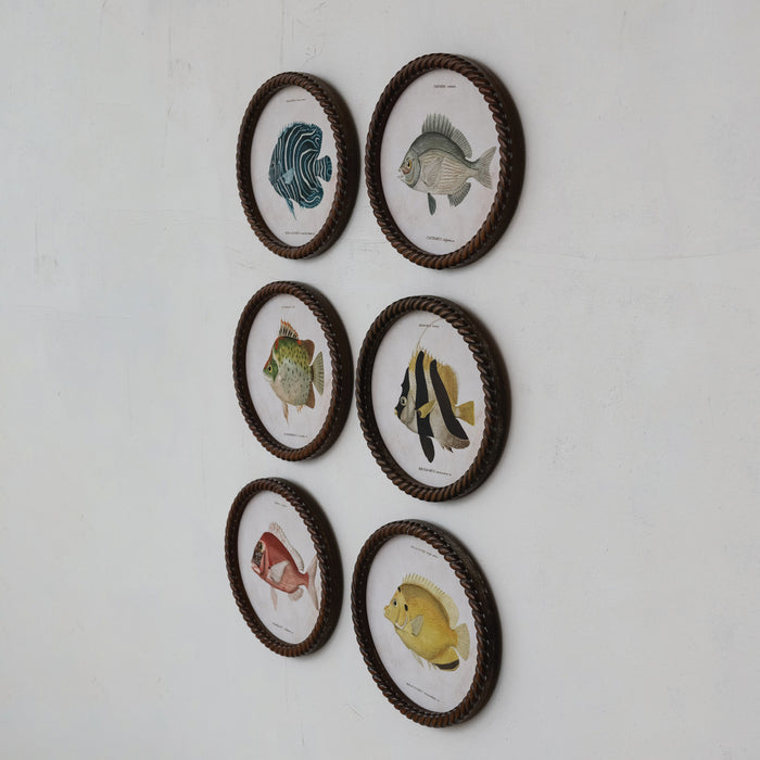 Oval Framed Fish Wall Art - Madison's Niche