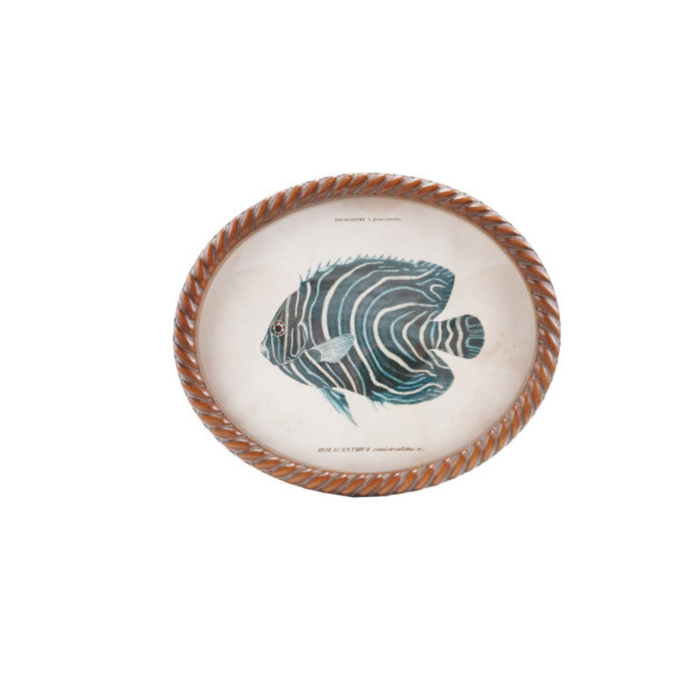 Oval Framed Fish Wall Art - Madison's Niche