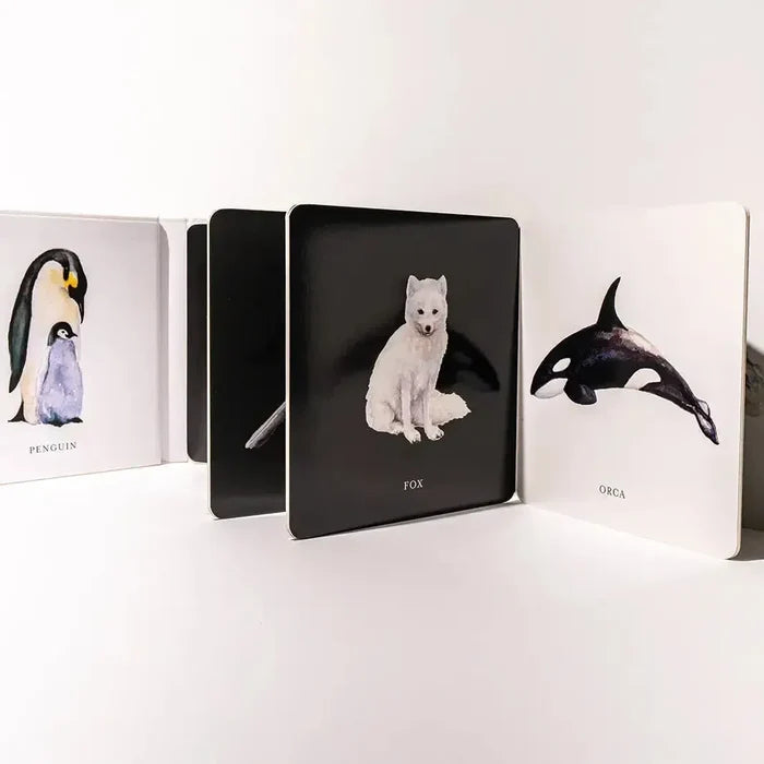 Paige Tate & Co. - Baby's Black and White Contrast Book-Books-Posh Baby
