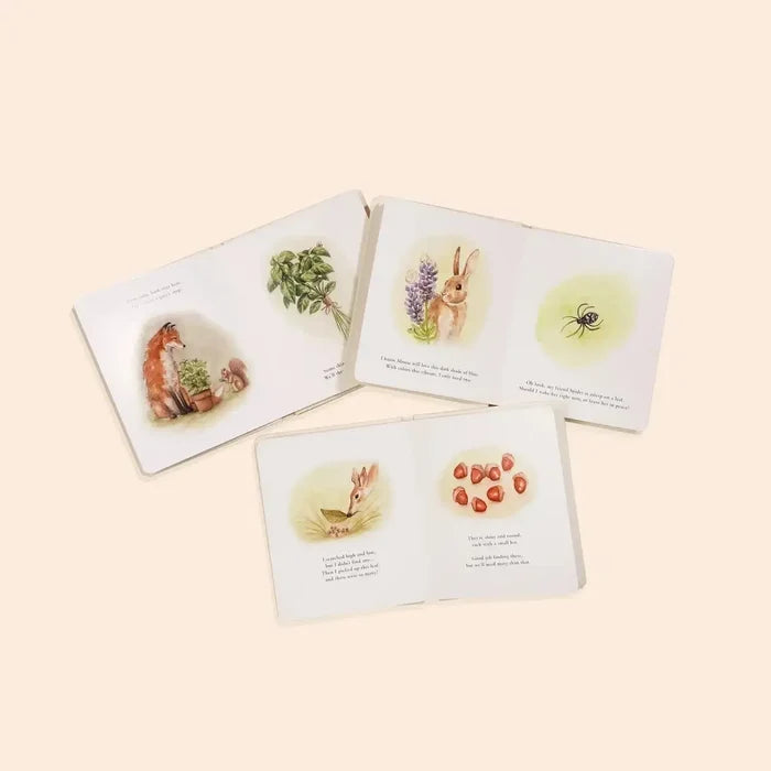 Paige Tate & Co. - Our Little Adventures Box Set-Books-Posh Baby