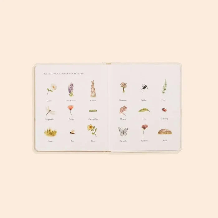 Paige Tate & Co. - Our Little Adventures Box Set-Books-Posh Baby