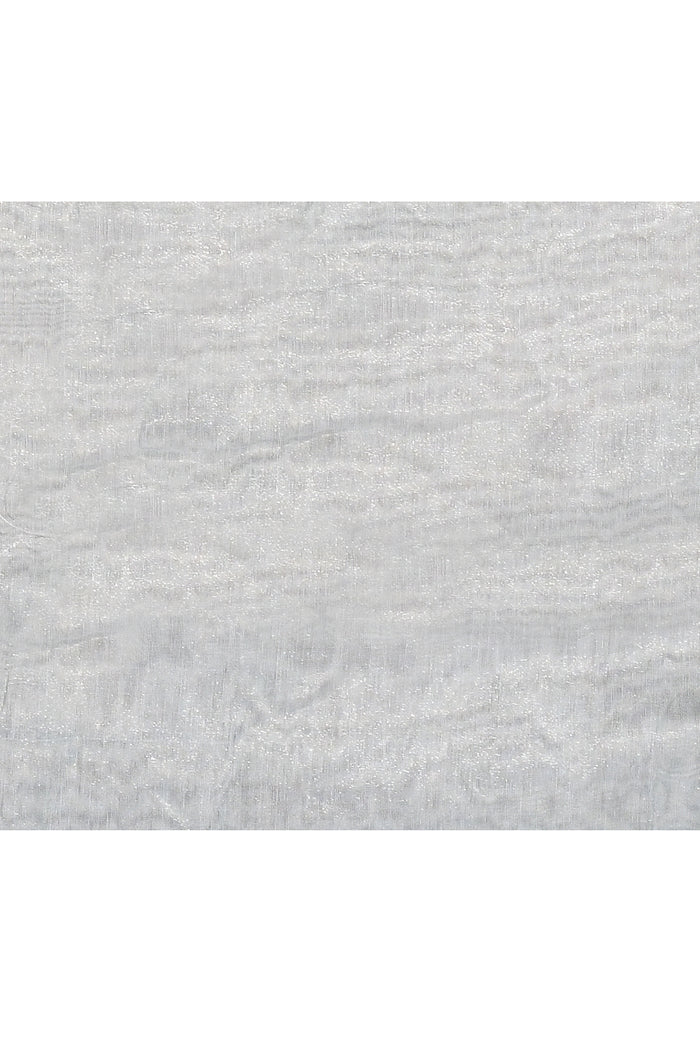 Pale Blue Floral Tissue Organza Saree
