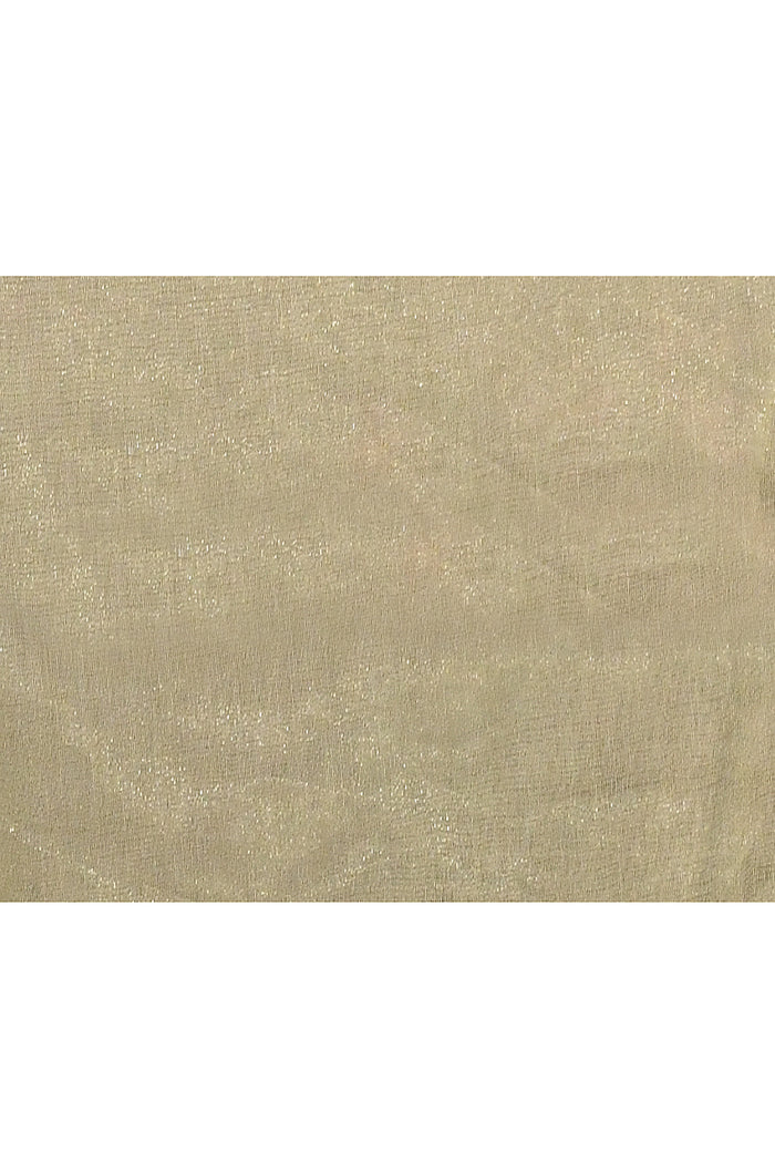Pale Green Floral Tissue Organza Saree