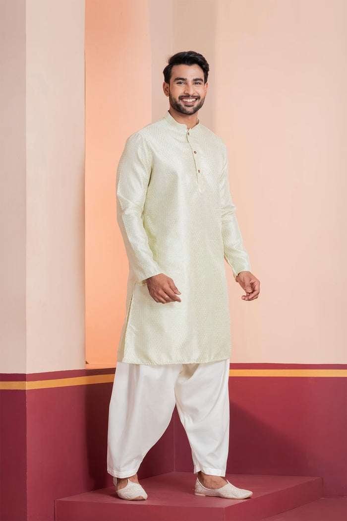 Pale Green Silk Blend Embroidered Patiala Set
