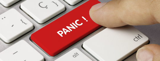 Panic BOMB™ Essential Oil Blend (Special Price)