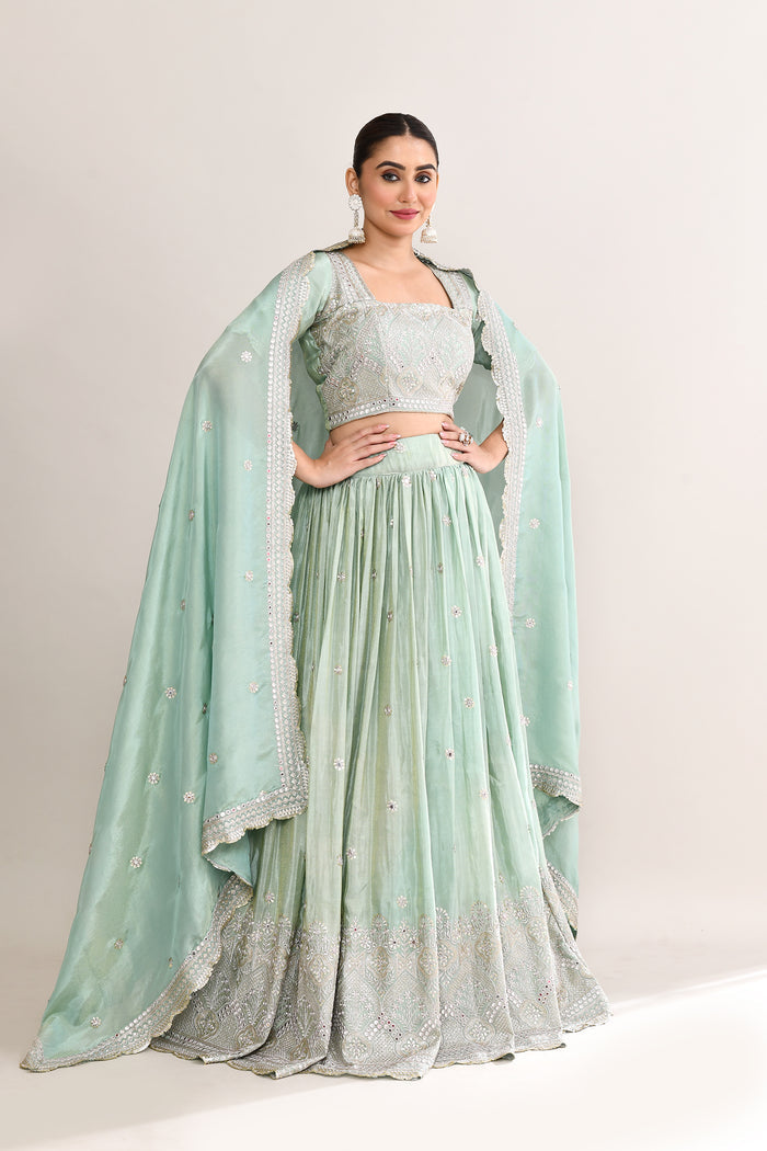Pastel Soft Green Shimmer Embroidered Lehenga Set