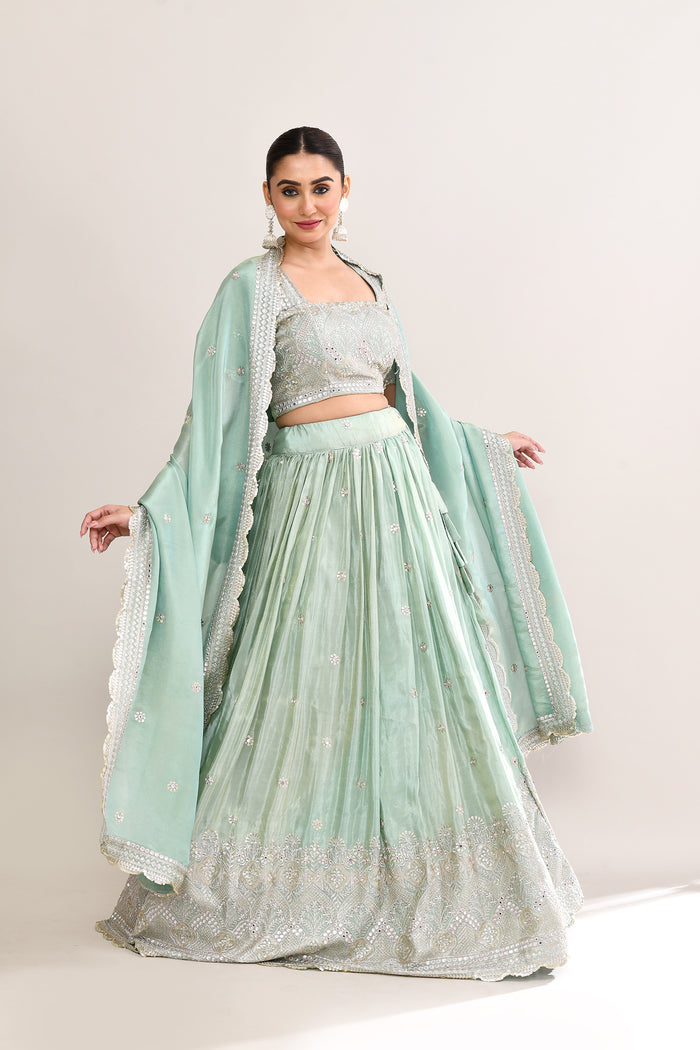 Pastel Soft Green Shimmer Embroidered Lehenga Set
