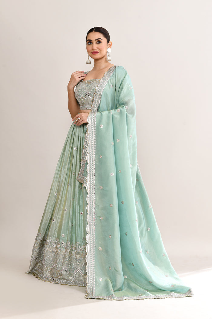 Pastel Soft Green Shimmer Embroidered Lehenga Set